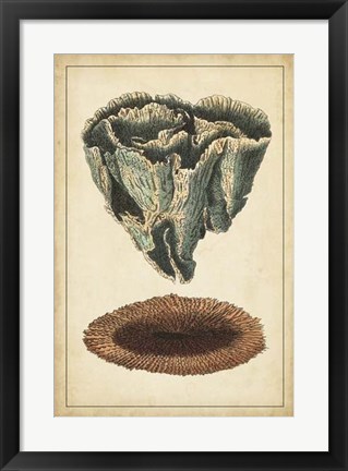 Framed Coral Companion IV Print