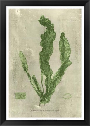 Framed Emerald Seaweed IV Print