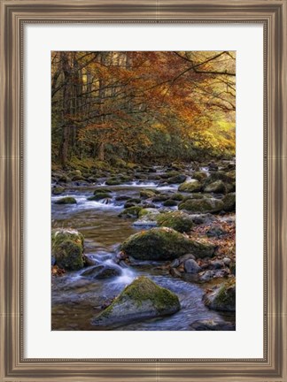 Framed Autumn on Little River Print