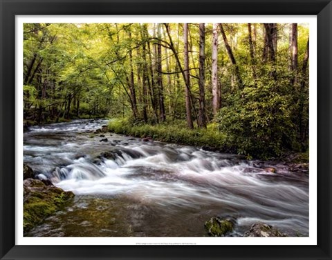 Framed Sunlight on Jake&#39;s Creek II Print