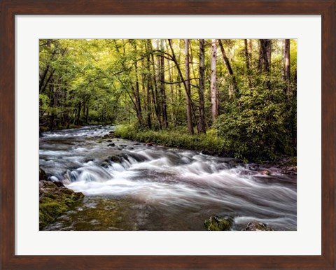 Framed Sunlight on Jake&#39;s Creek II Print