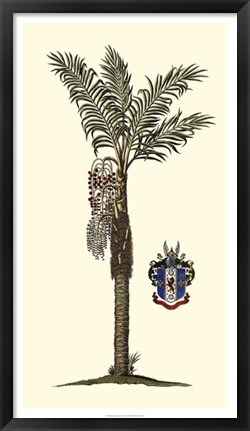 Framed Elongated Exotic Palm I Print