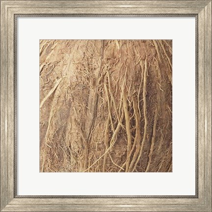 Framed Organic Elements IV Print