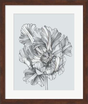 Framed Silvery Blue Tulips I Print