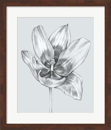 Framed Silvery Blue Tulips II Print