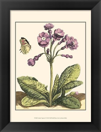 Framed Garden Vignette I Print