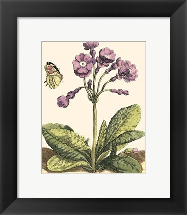 Framed Garden Vignette I Print