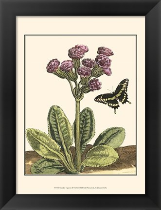 Framed Garden Vignette II Print