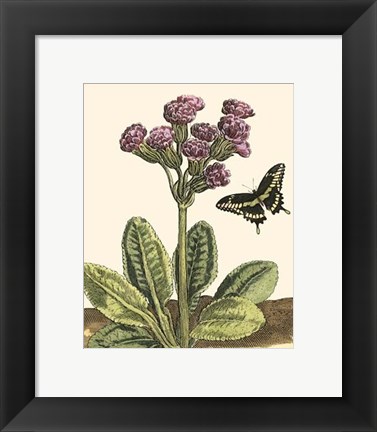 Framed Garden Vignette II Print