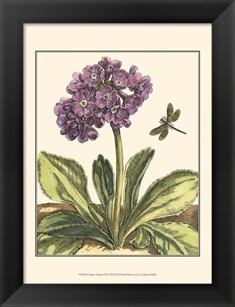 Framed Garden Vignette III Print