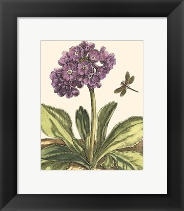 Framed Garden Vignette III Print