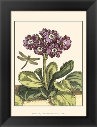 Framed Garden Vignette IV Print