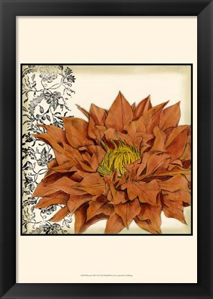 Framed Botanica III Print