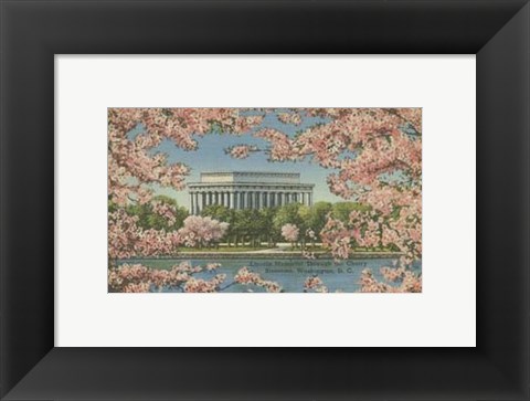 Framed Lincoln Memorial &amp; Cherry Blossoms Print