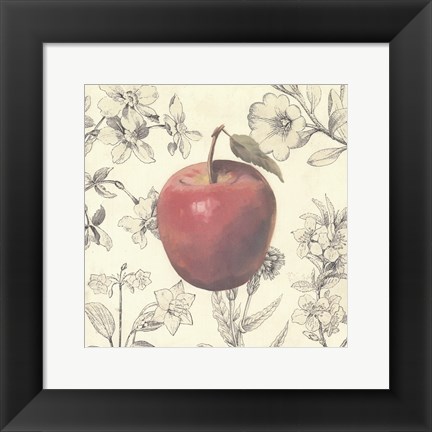 Framed Apple and Botanicals Print