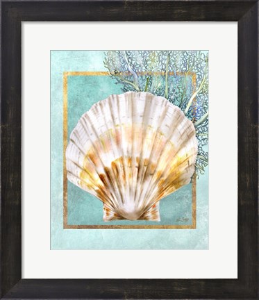 Framed Scallop Shell and Coral Print