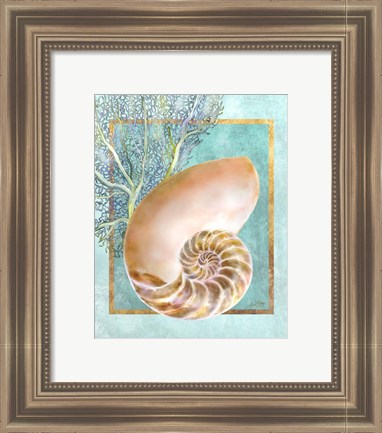 Framed Nautilus Shell and Coral Print