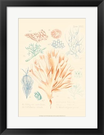 Framed Delicate Coral IV Print