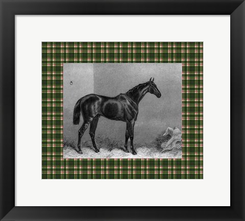 Framed Equestrian Plaid I Print