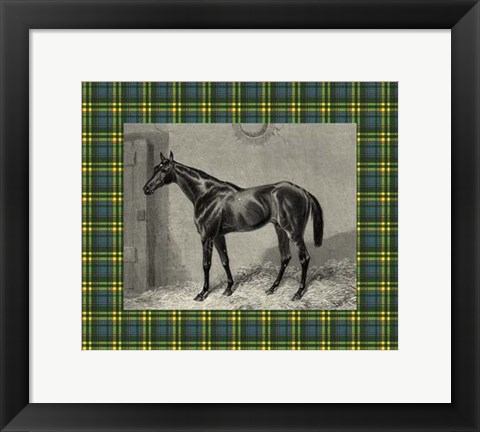 Framed Equestrian Plaid II Print