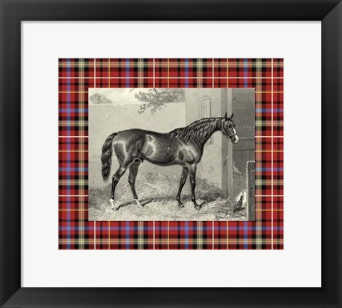 Framed Equestrian Plaid III Print