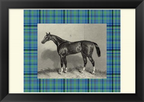 Framed Equestrian Plaid IV Print