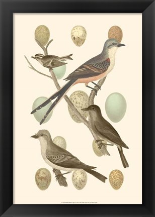 Framed British Birds and Eggs I Print