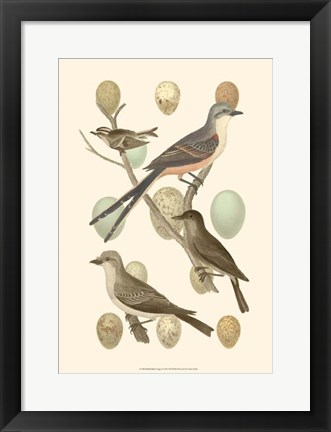 Framed British Birds and Eggs I Print