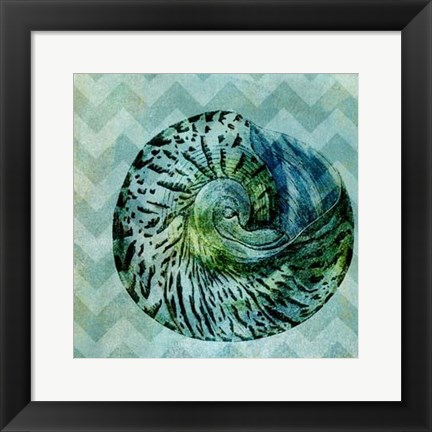 Framed Chevron Shell II Print