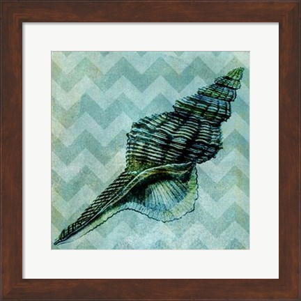 Framed Chevron Shell III Print