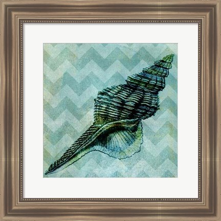 Framed Chevron Shell III Print