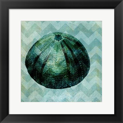 Framed Chevron Shell IV Print