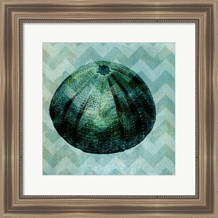 Framed Chevron Shell IV Print