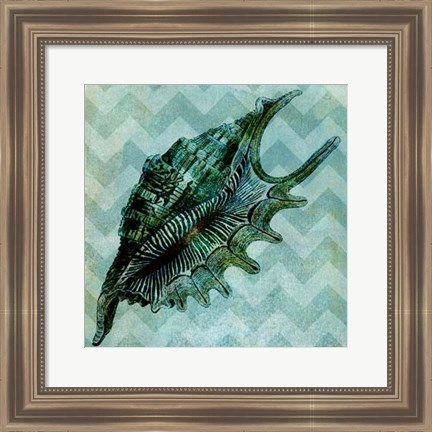 Framed Chevron Shell VII Print