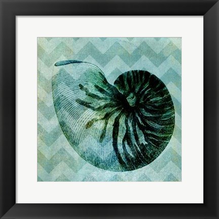 Framed Chevron Shell IX Print