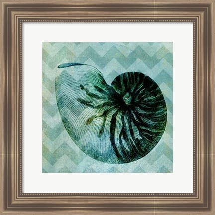 Framed Chevron Shell IX Print