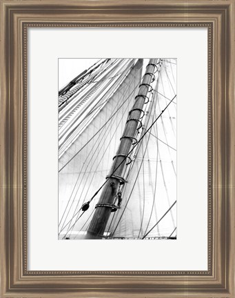 Framed Set Sail VI Print