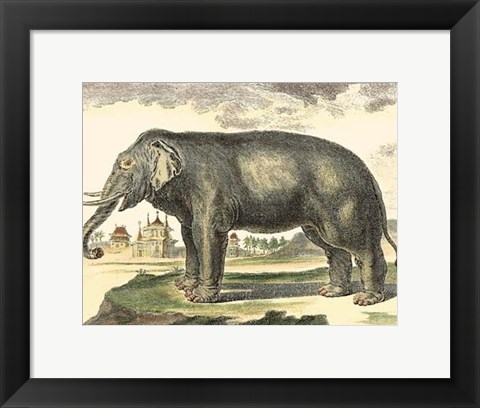 Framed Elephant Print