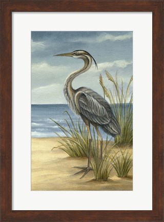 Framed Shore Bird II Print