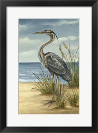 Framed Shore Bird II Print