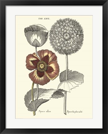 Framed Tinted Floral II Print