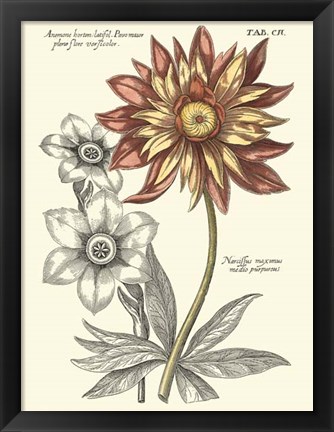 Framed Tinted Floral III Print