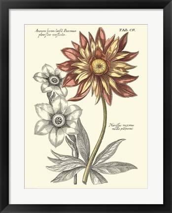 Framed Tinted Floral III Print