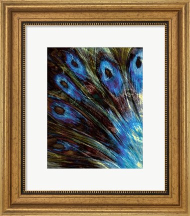 Framed Feather II Print