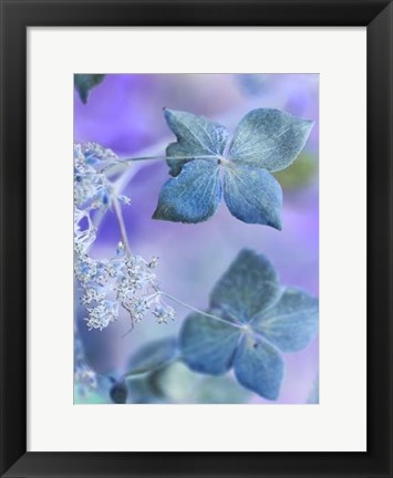 Framed Dainty III Print