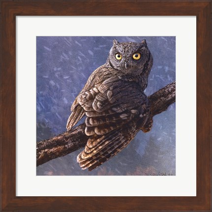 Framed Owl in Winter I Print