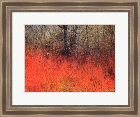 Framed Red Grass II Print