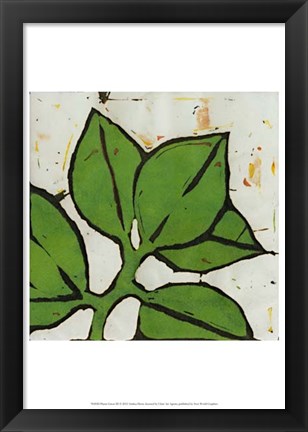 Framed Planta Green III Print