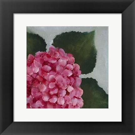 Framed Hydrangea Detail II Print