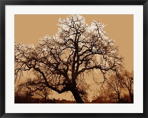 Framed Oak Tree on Tope Print